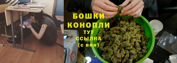 прущие грибы Володарск