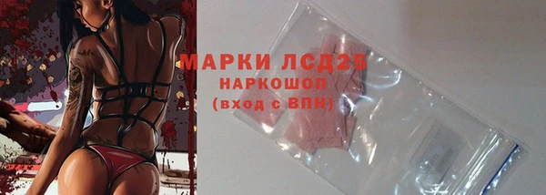 стаф Волосово