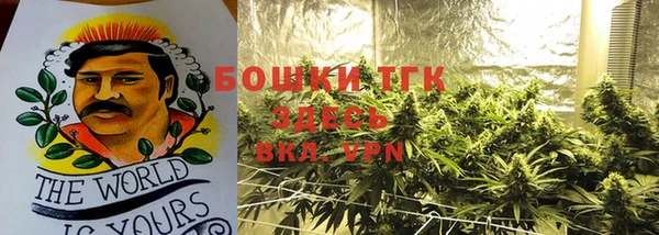 стаф Волосово