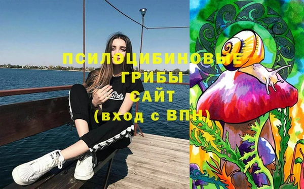 прущие грибы Володарск