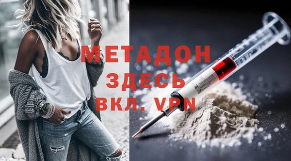 прущие грибы Володарск
