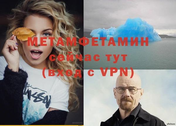 прущие грибы Володарск