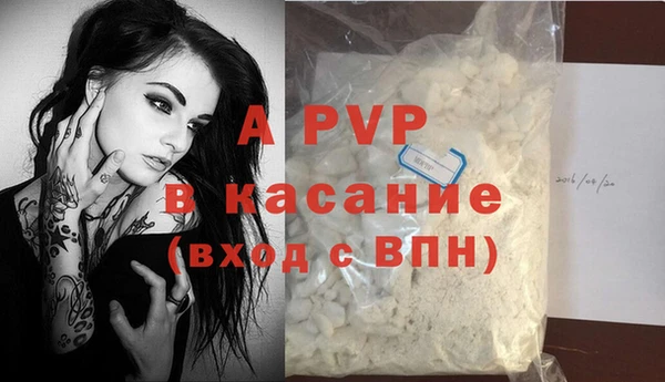 стаф Волосово